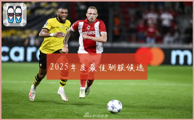 2025年度最佳驯服候选