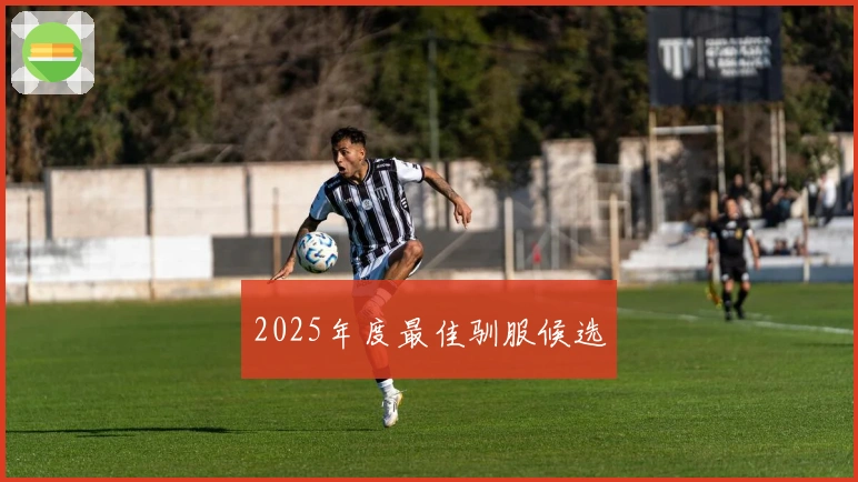 2025年度最佳驯服候选